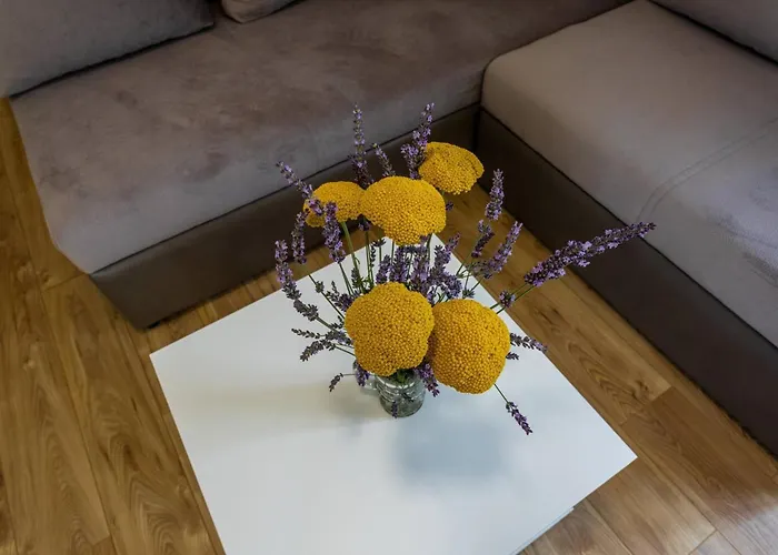 ゲストハウス Bernardeta 2 バスカ