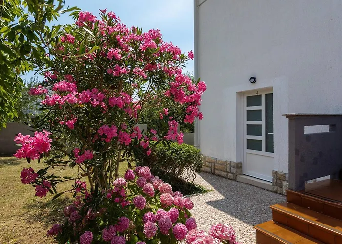 ゲストハウス Bernardeta 2 バスカ