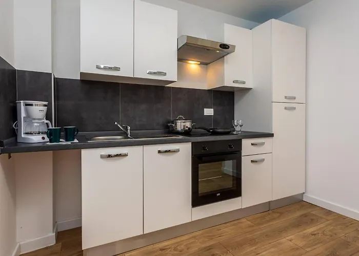 Bernardeta 2 バスカ