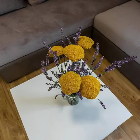 בית הארחה Bernardeta 2 באסקה